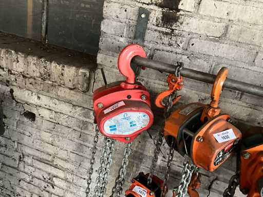 Paranco a catena Lewis L-CB-S20