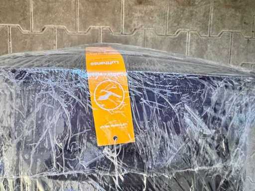 Lufthansa - Pierdut de Lufthansa