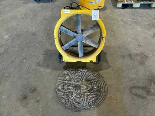 Fan
