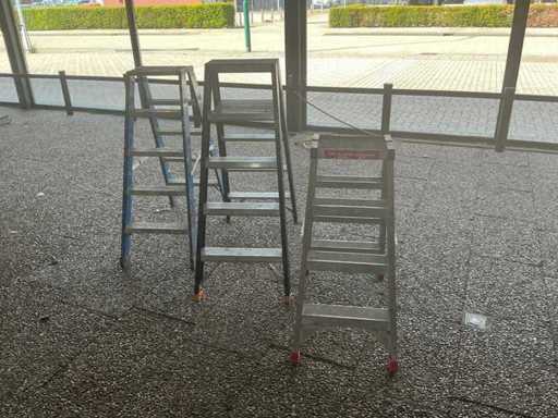Skyworks / Wienese / Alga Products Double-sided ladder (3x)