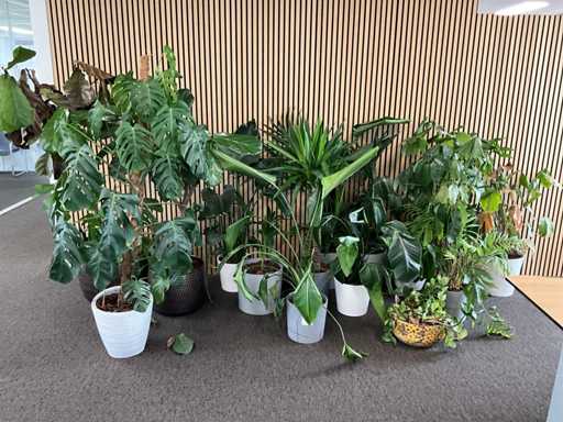 Planten met pot (14x)