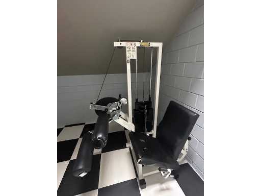 Technogym Seduti a gambe curl