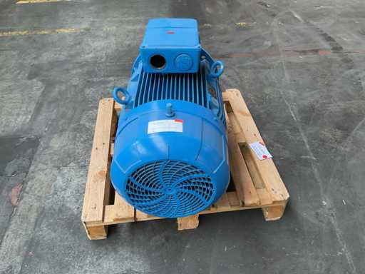 Motor eléctrico Elektra 2021