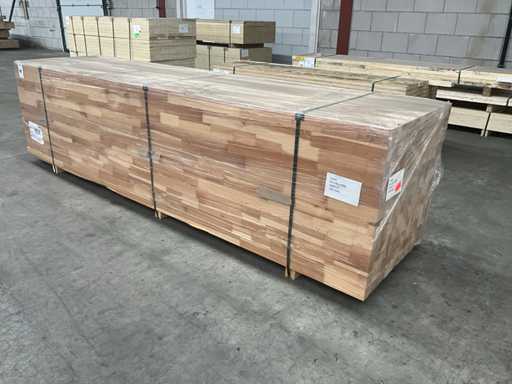 Belka świerkowa (168x)