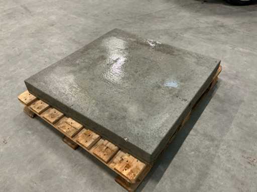 Carrelage en béton (20x)