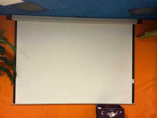 Beamer & 305cm projection screen