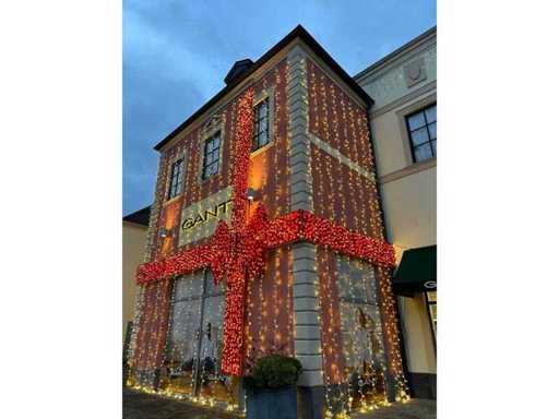 Elnora - Nodo Illuminato