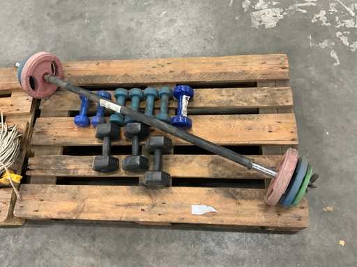 Partij dumbels en halter