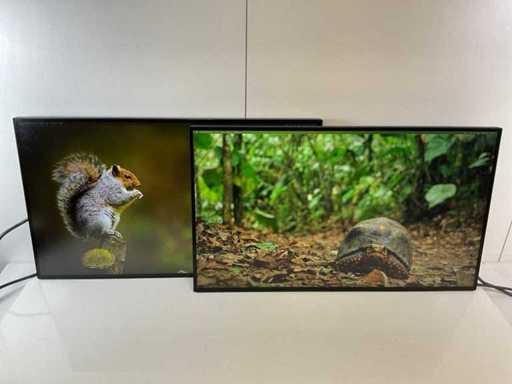 Lenovo (P27h-20) 27”, 2560x1440 (QHD) IPS Monitors (2x)