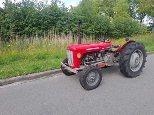 1965 Massey Ferguson 35 Classic Traktor