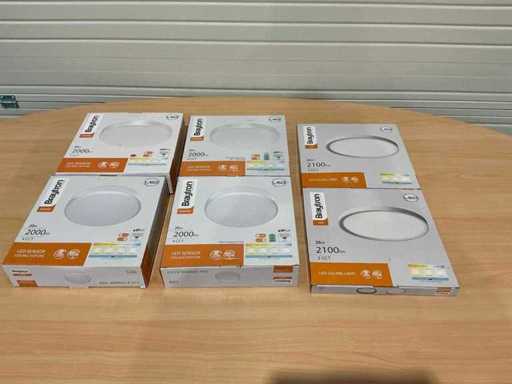 Braytron Plafondlamp (6x)
