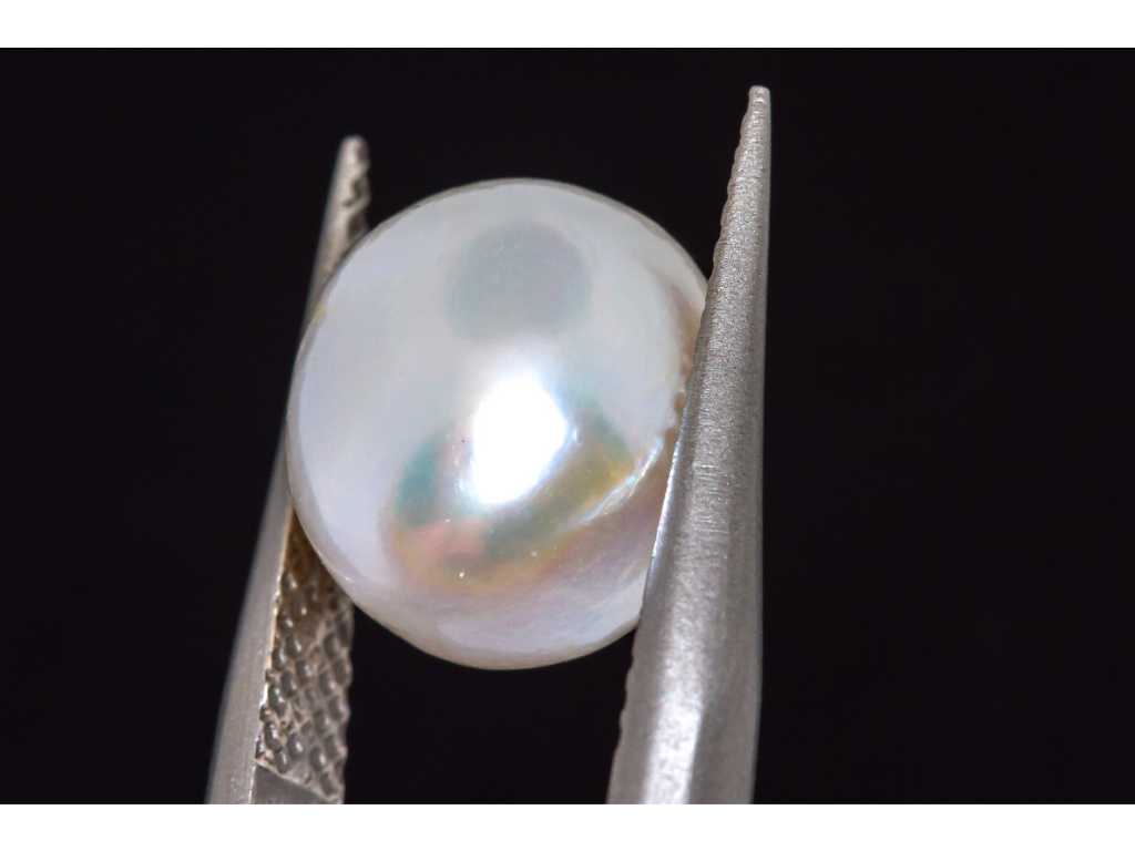 Perle naturelle (blanche) 6,25 carats