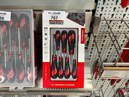 Set di cacciaviti Tengtools