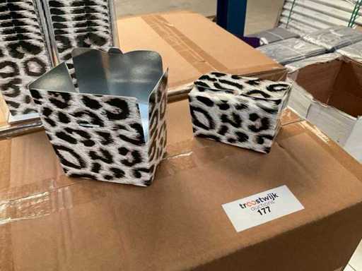 Pantera Ballotin (4600x)