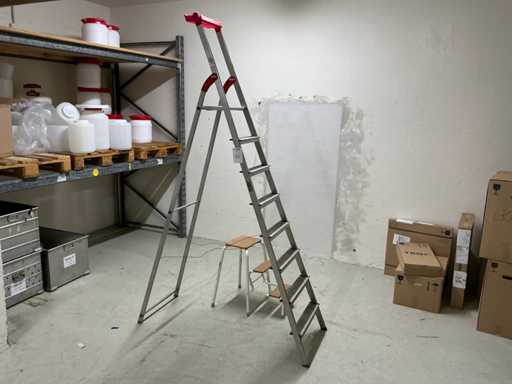 Hailo Step ladder