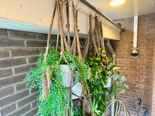 Plantes artificielles suspendues (8x)