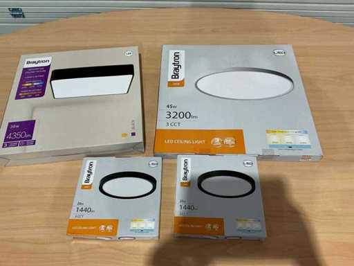 Braytron Plafondlamp (4x)