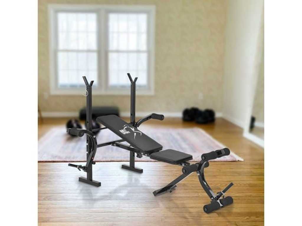 ProfiGym1000 Multifunctional Weight Bench