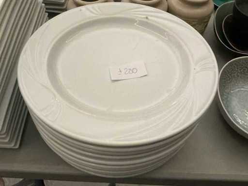 Lot plates (280x)