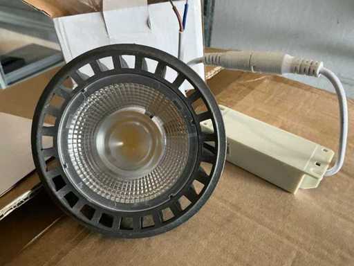 AR111 20W -3000K LED-Glühbirne (111x)