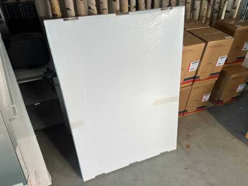 Ecosun - 1000 K+ - Infraroodpaneel