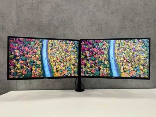 Dell P2417H - 2x Monitor cu braț dublu - HDMI, DP, VGA