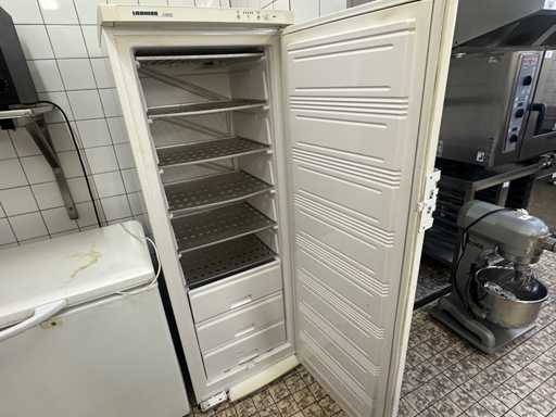 Liebherr - Comfort - hoge vrieskast