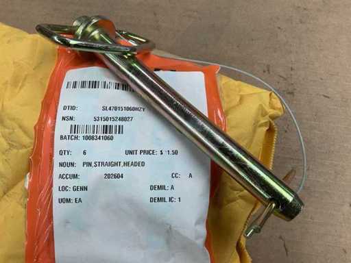Straight headed pin (6x)