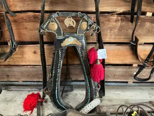 Jan van den Boomen Haam