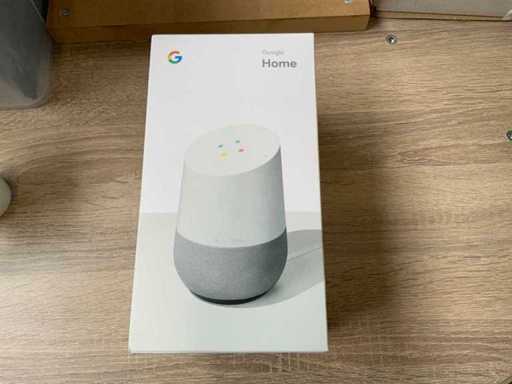 Google Home Assist