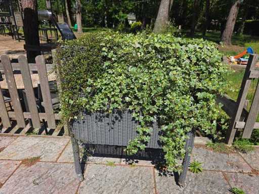 Sediamo – Mobile Plastik-Blumenbox 