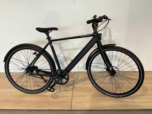 Tenways 6061 Elektrische herenfiets