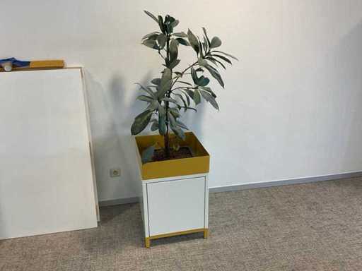 Hydroponische Anlage mit Pflanzgerät