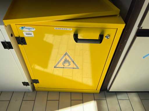 Trionyx - Kastchemisch Te Slechte Conditie, Zeer Geavanceerde Roest