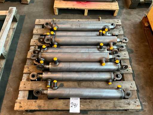 Hydraulischer Hubzylinder (12x)