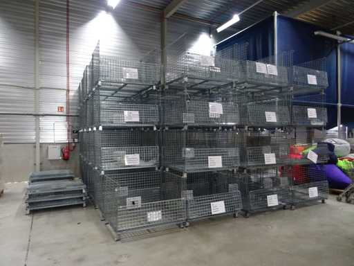 Mesh container (100x)