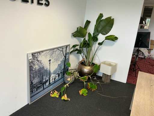 Decoratiemateriaal (6x)