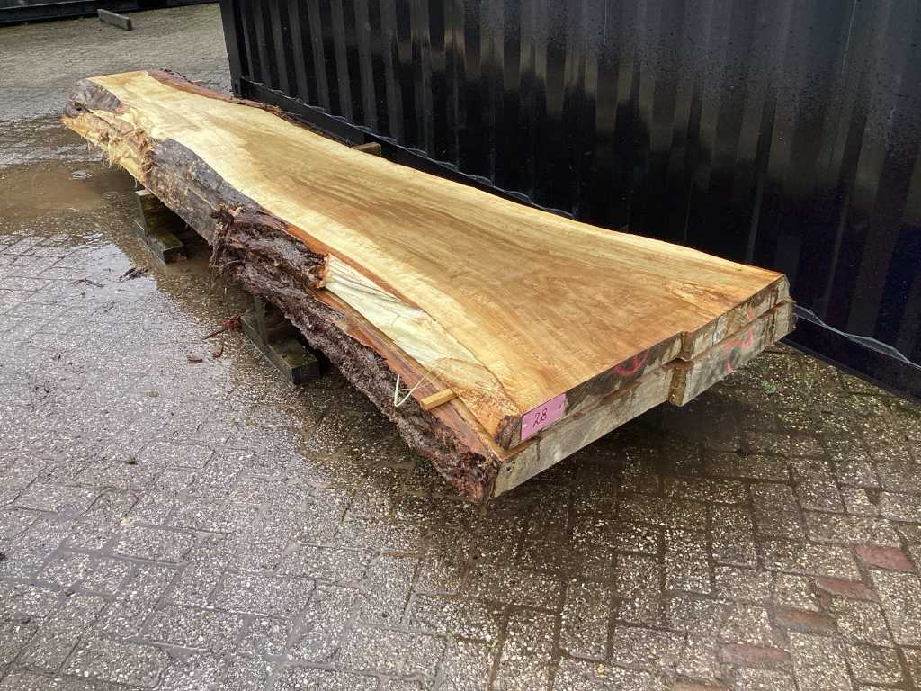 Pioppo (2x) foglia di tronco d'albero 