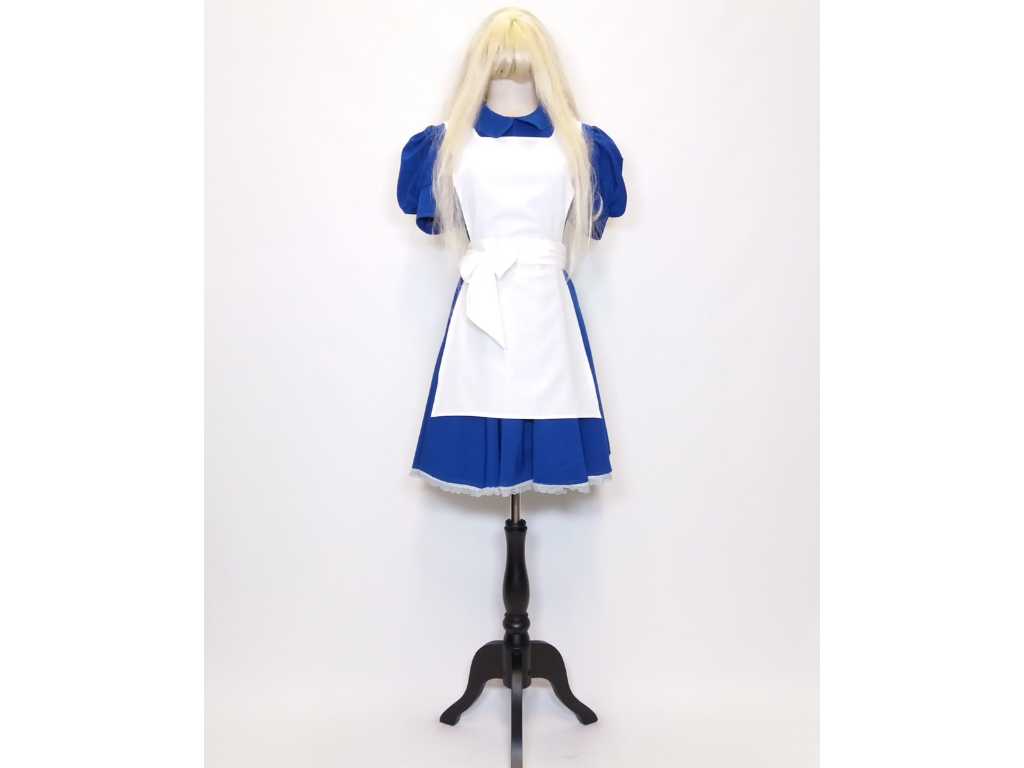 Maison van den Hoogen Alice in Wonderland Dress (size S)