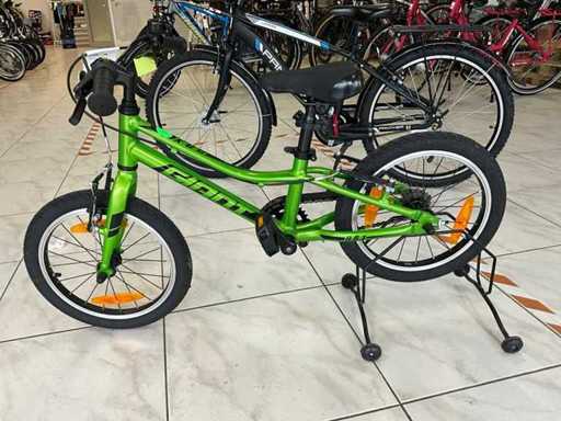 Giant ARX Kinderfiets