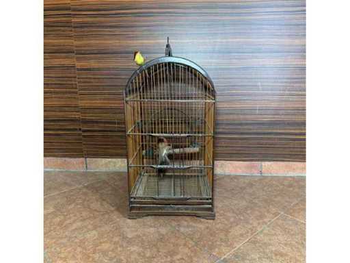 Decoratieve vogelkooi
