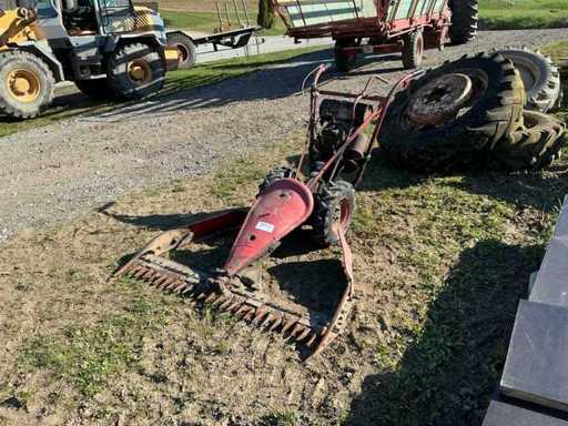 Tagliaerba motorizzata Rotax