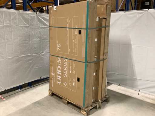 Téléviseurs à palettes Retour de marchandises - 5 articles