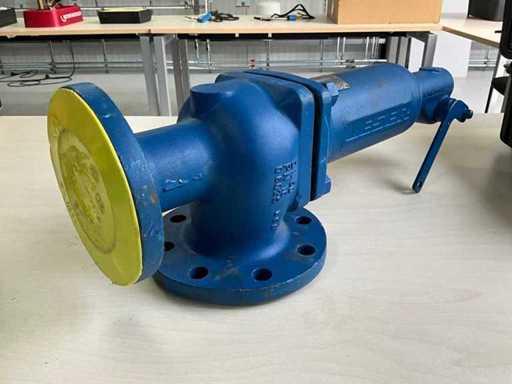 Valvula di sicurezza Leser 4411.4414 DN50