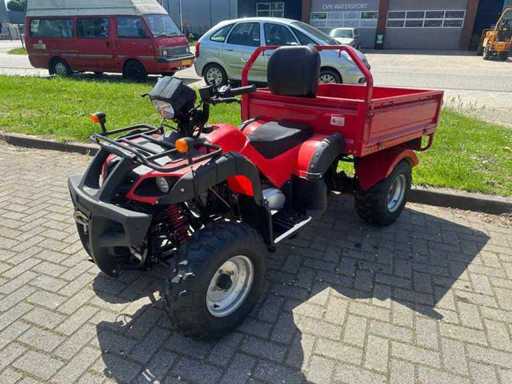 trident - ATV200 met kenteken - Quad