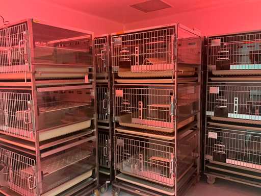 Käfige für Haustiere