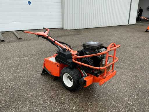 Barreto 1620 Tuinfrees