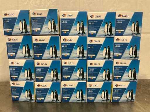 Cartouche d’encre G&G LC123 (20x)