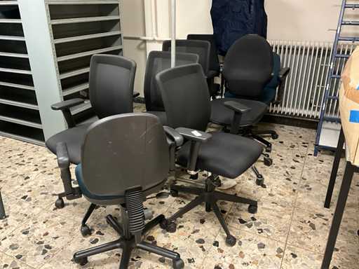 Sedia da ufficio (8x)