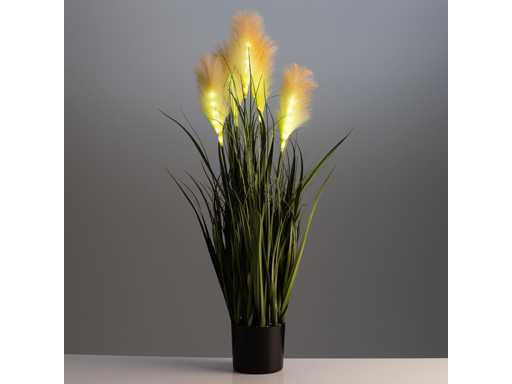Plante artificielle - extérieure